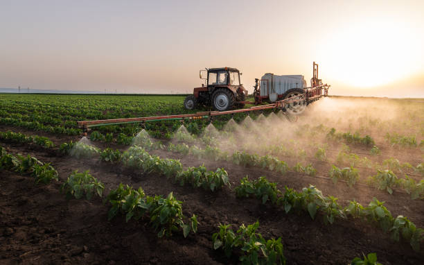 Best Commercial Pest Control Services  in Peabody, MA