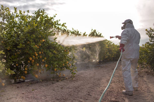 Best Affordable Pest Control Services  in Peabody, MA