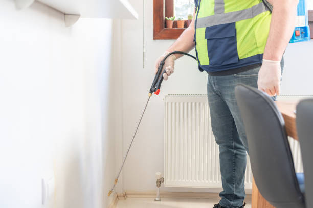 Best Pest Control Near Me in Peabody, MA