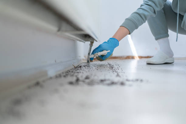 Best Bed Bug Extermination  in Peabody, MA